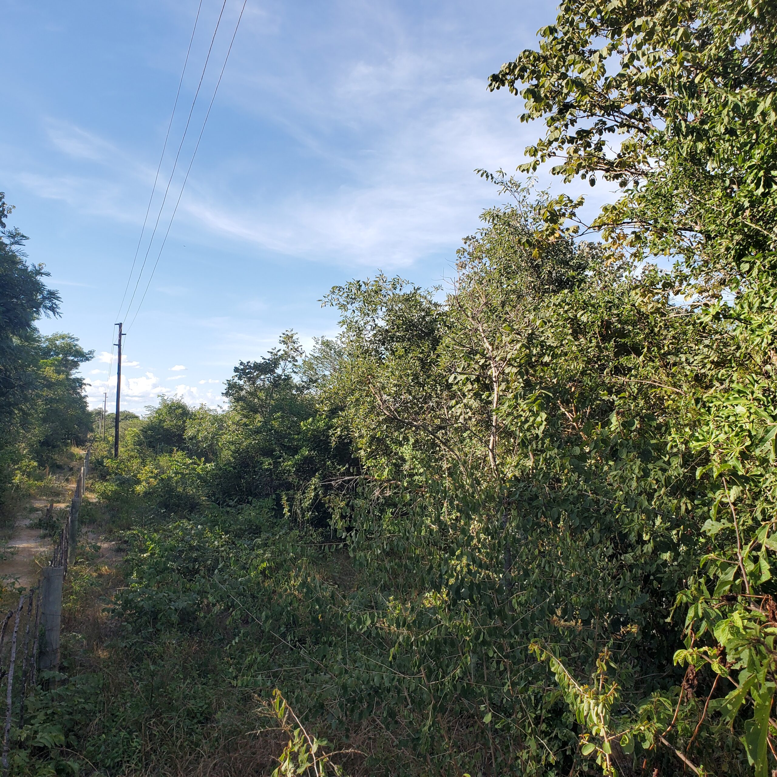 Chaminuka 1-acre titled plots Christmas promotion - limited time 10% discount offer