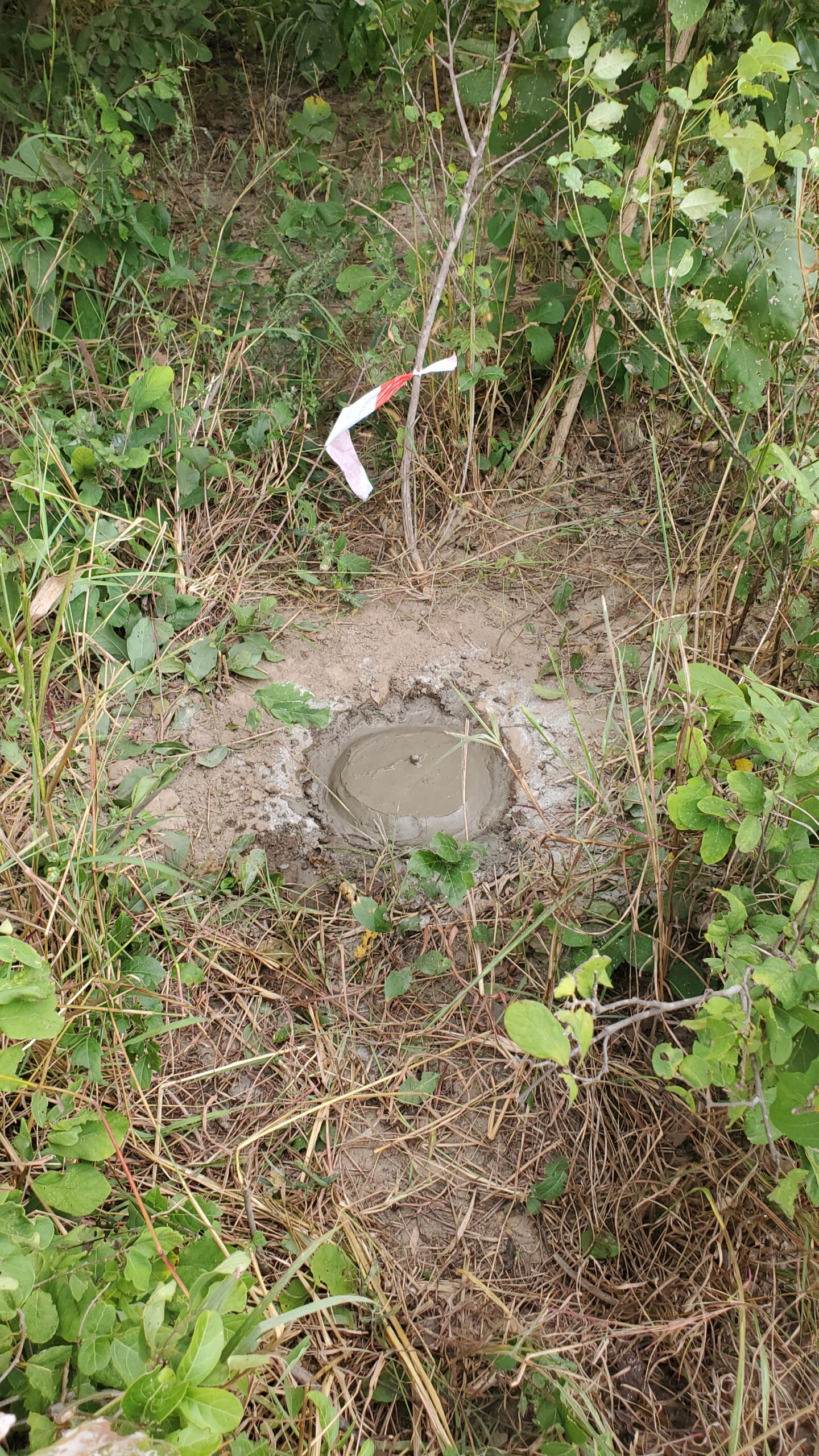 Chaminuka 1-acre titled plots Christmas promotion - limited time 10% discount offer