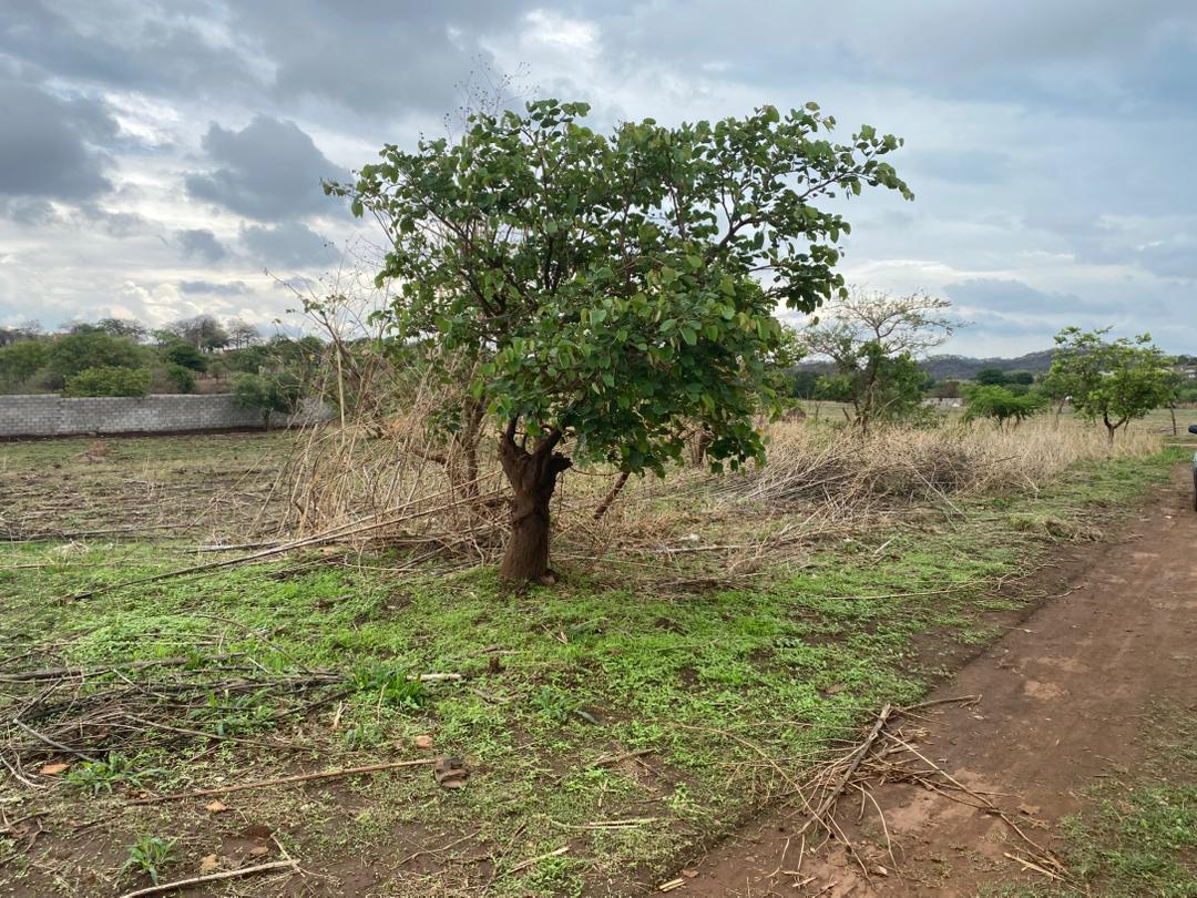 50x50m corner plot for Quick Sale Shantumbu Chibwalo in established neighbourhood