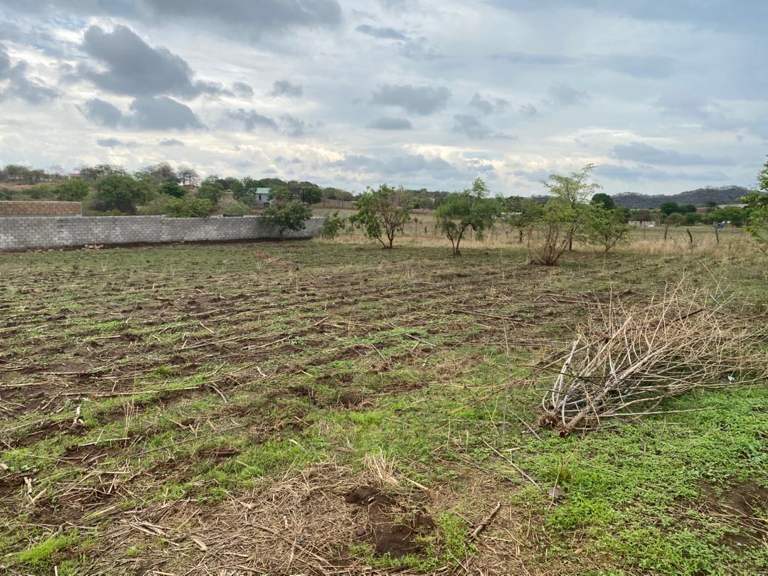 50x50m corner plot for Quick Sale Shantumbu Chibwalo in established neighbourhood