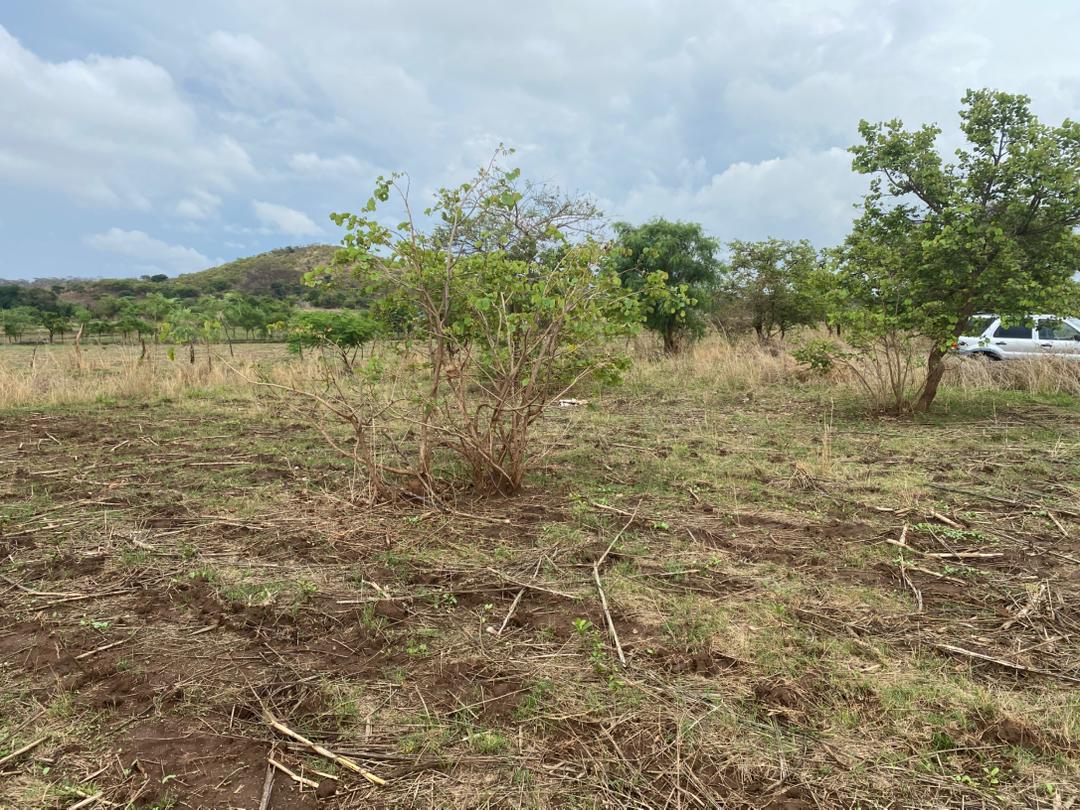 50x50m corner plot for Quick Sale Shantumbu Chibwalo in established neighbourhood