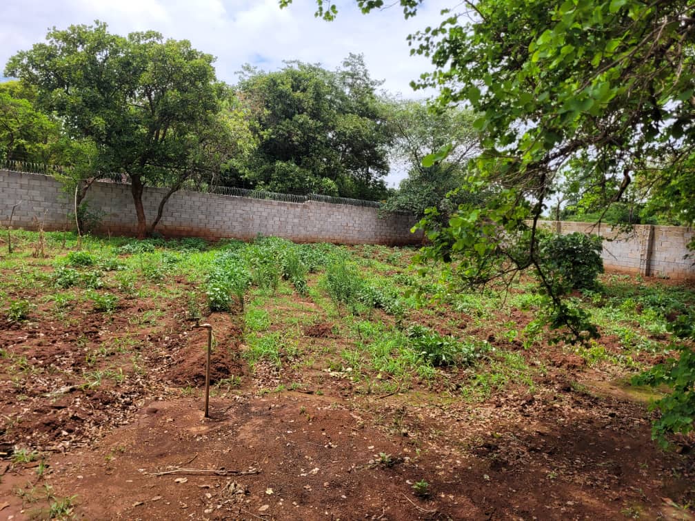 Prime residential plot in New Kasama - 1,436 sqm secure wall-fenced property for quick sale