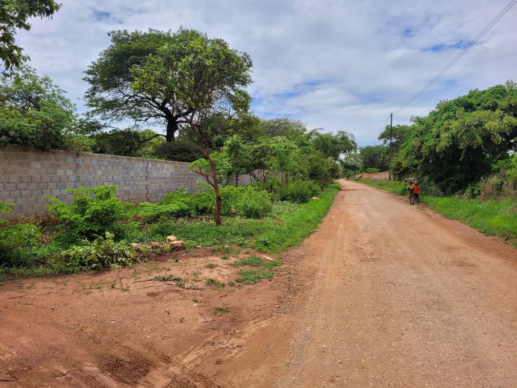 Prime residential plot in New Kasama - 1,436 sqm secure wall-fenced property for quick sale