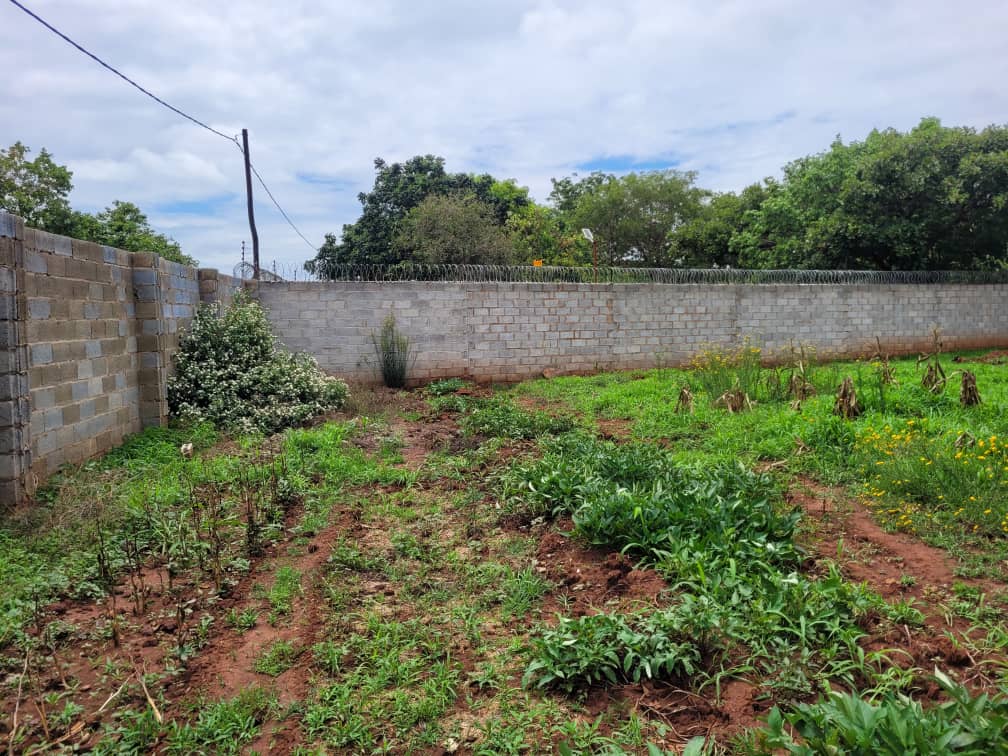 Prime residential plot in New Kasama - 1,436 sqm secure wall-fenced property for quick sale