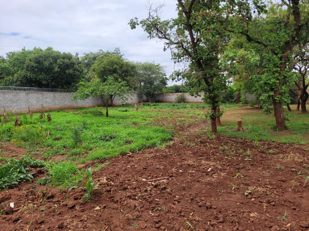 Prime residential plot in New Kasama - 1,436 sqm secure wall-fenced property for quick sale